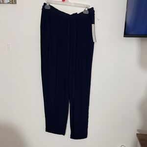 Navy Blue Pleated Pants